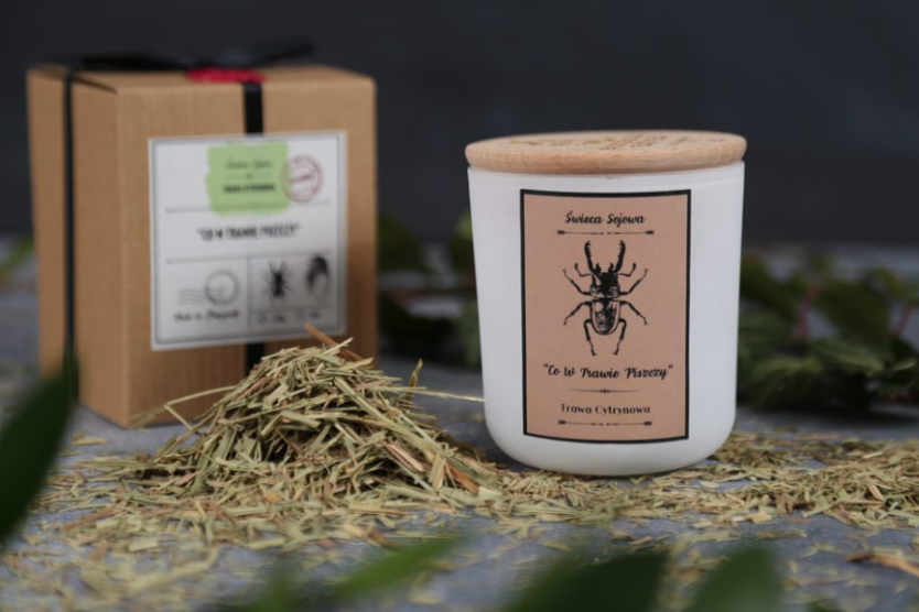 swieca-sojowa-co-w-trawie-piszczy-trawa-cytrynowa-naturalna-swieczka-z-drewnianym-wieczkiem-w-ekologicznym-opakowaniu-w-otoczeniu-suszonej-trawy-cytrynowej