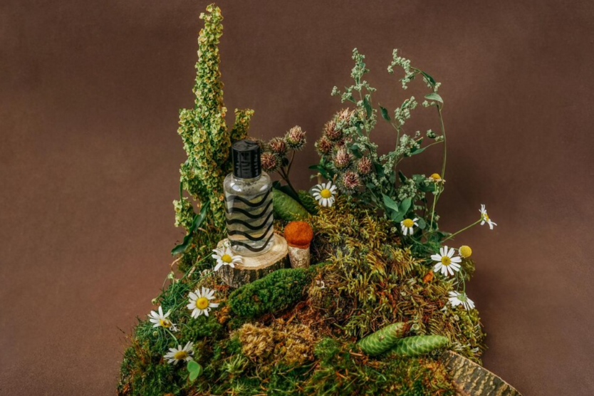 Kompozycja zapachowa w butelce ustawiona na mchu w otoczeniu polnych roślin